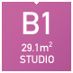 typeB1