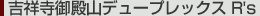 gˎaRf[vbNX R's
