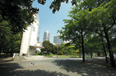 Ō