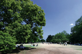 Vh䉑